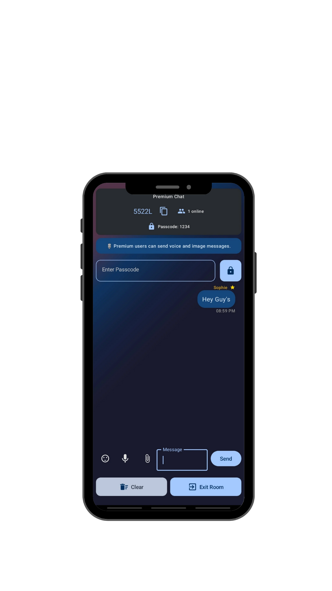 Snypic voice message screen